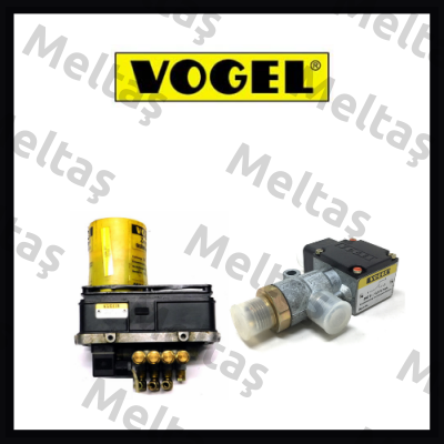 Vogel