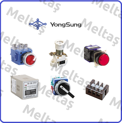 YongSung Electric