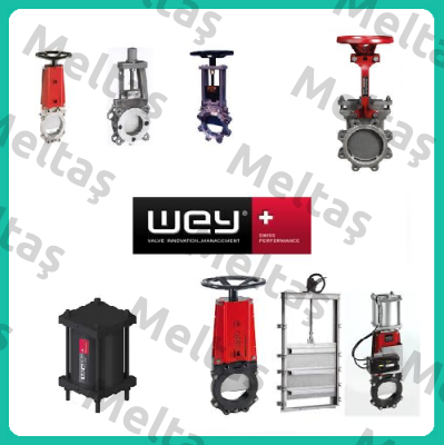 Wey Valve