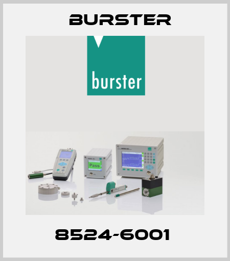 8524-6001  Burster