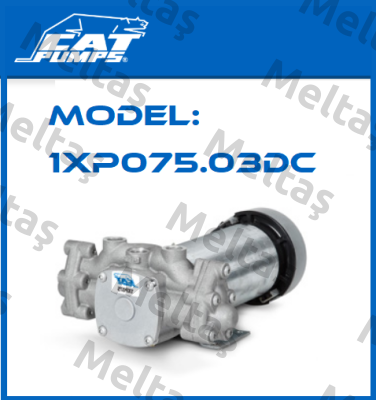 Model: 1XP075.03DC Cat Pumps