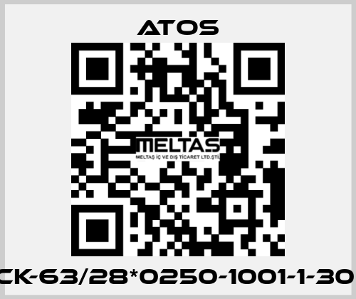 CK-63/28*0250-1001-1-30  Atos