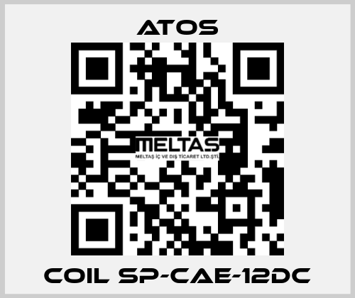Coil SP-CAE-12DC Atos