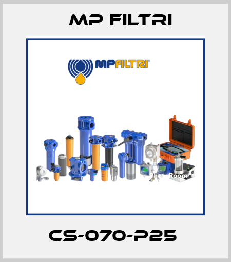 CS-070-P25  MP Filtri