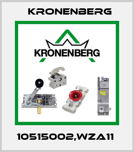 10515002,WZA11  Kronenberg