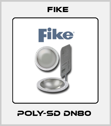 POLY-SD DN80  FIKE