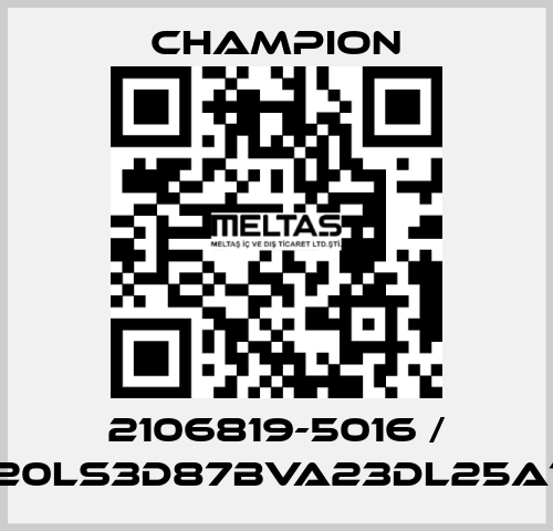 2106819-5016 / G20LS3D87BVA23DL25A10 Champion