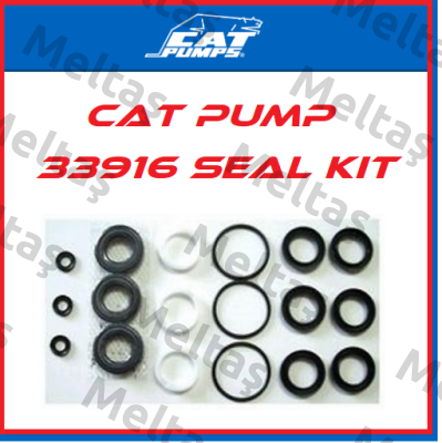 33916 Cat Pumps