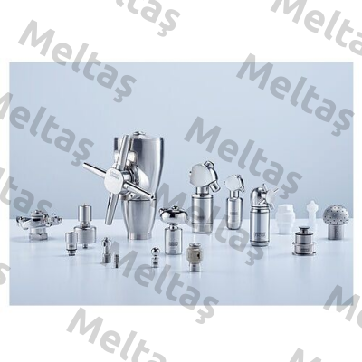 405.204 G1 ¼’’ BSPP 316L old code/new code 405.204.1Y.AP Lechler