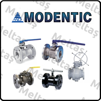 MD #150 Check Valve 4" Modentic
