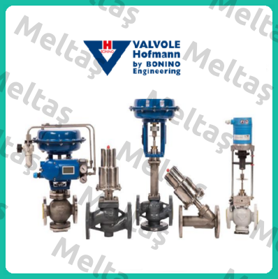 Dm80  Valvole Hofmann