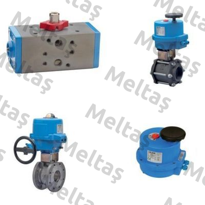valve S20 DN32 for Artic Foam Fog System Valbia