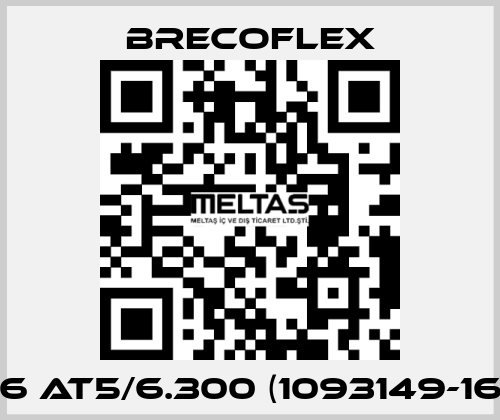 16 AT5/6.300 (1093149-16) Brecoflex