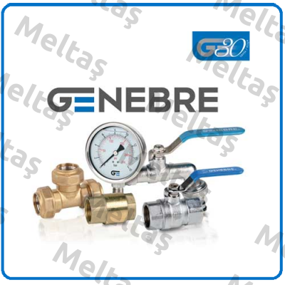 Seal for compact ball valve DN100 Genebre