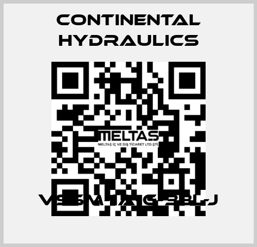 VS5M-1A-G-33L-J Continental Hydraulics