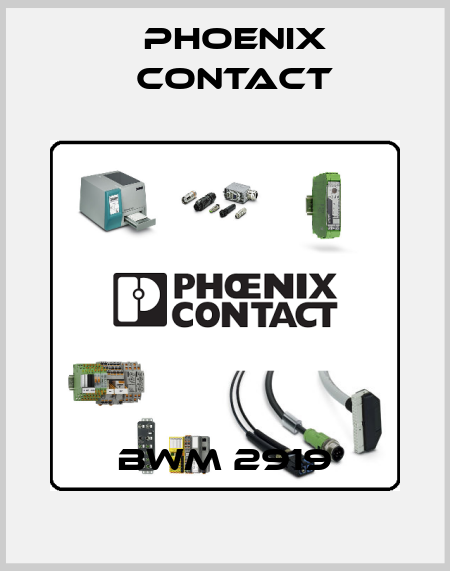 BWM 2919 Phoenix Contact