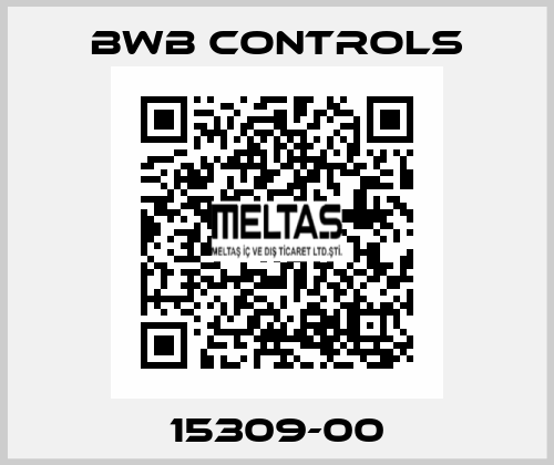 15309-00 BWB CONTROLS