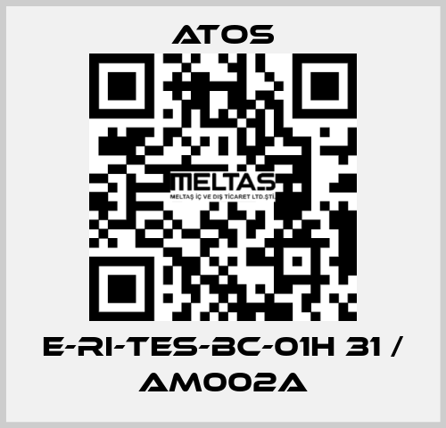 E-RI-TES-BC-01H 31 / AM002A Atos