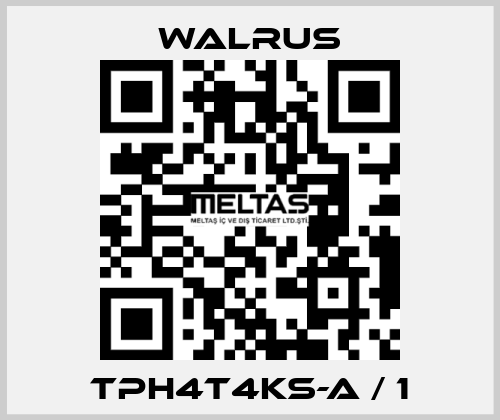 TPH4T4KS-A / 1 Walrus