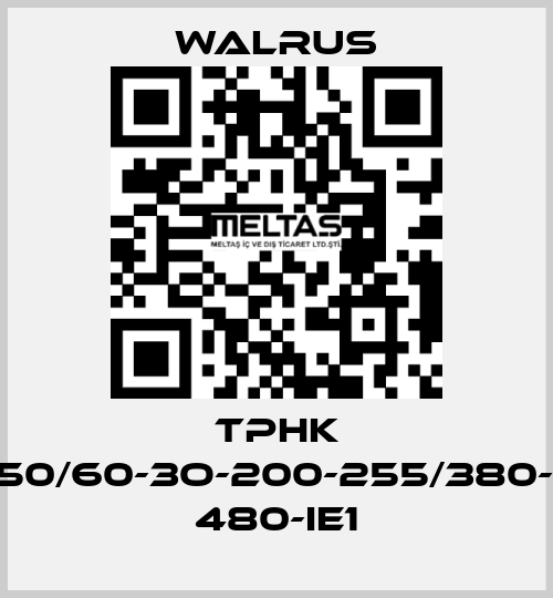 TPHK 4T5-3/TPHK4T5-3-50/60-3O-200-255/380-440-200-255/380- 480-IE1 Walrus