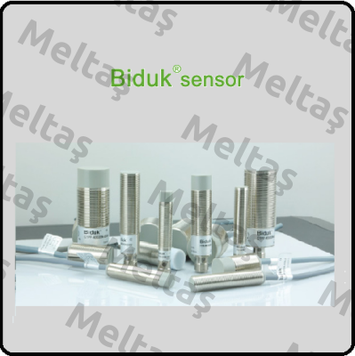 I1CF-M1808P-S4U2 Biduk