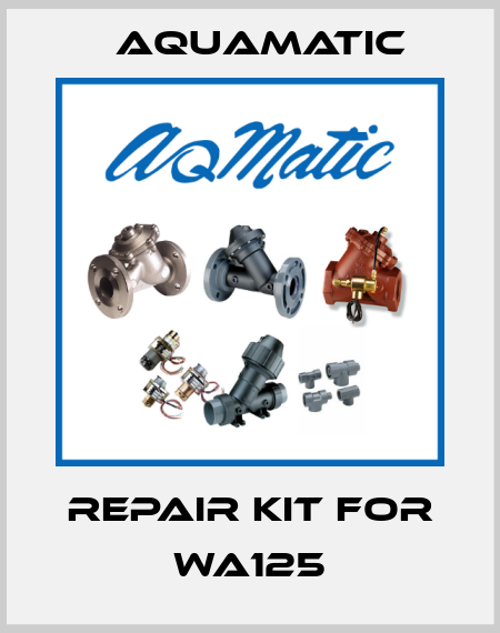 Repair kit for WA125 AquaMatic