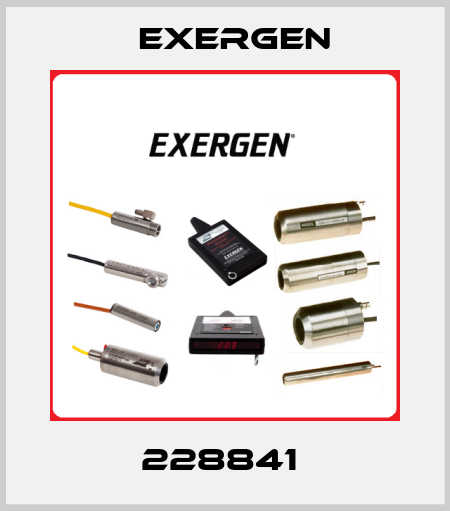 228841  Exergen