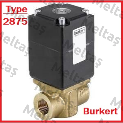 00239092 Burkert
