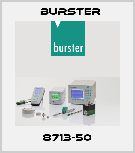 8713-50 Burster