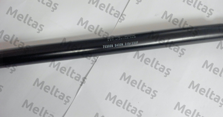753009 Stabilus