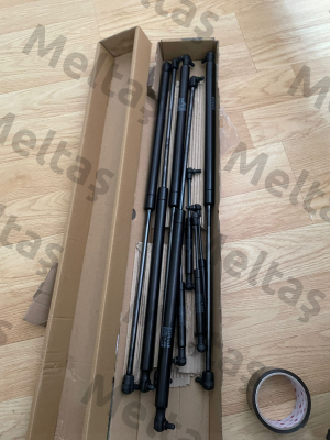 4924DX 0300N Stabilus