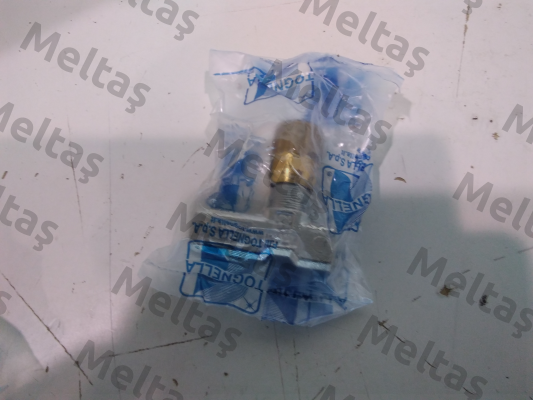 FT1251/50114 Tognella