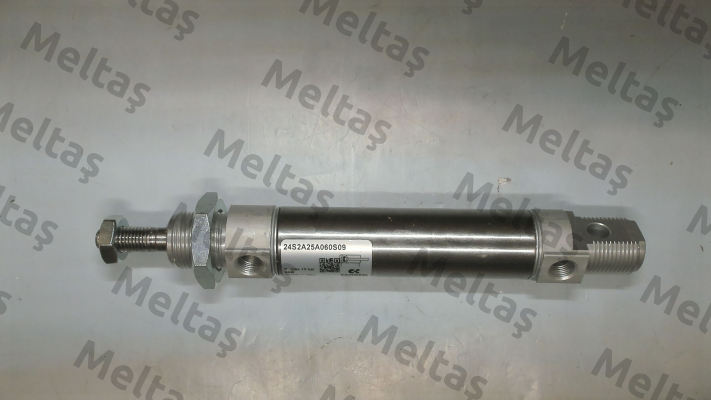 24S2A25A060S09 Camozzi