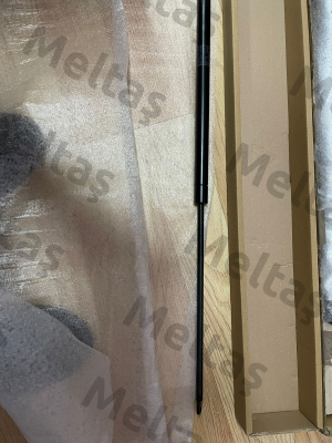 095036 Stabilus