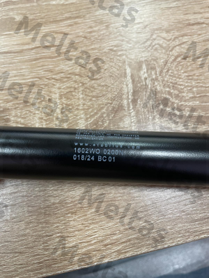1602WO Stabilus