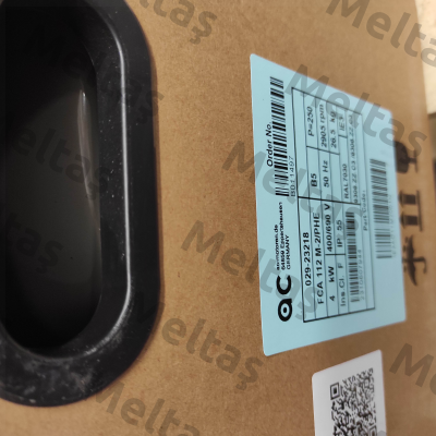 FCA 112 M 2 /PHE / 6000 AC Motoren