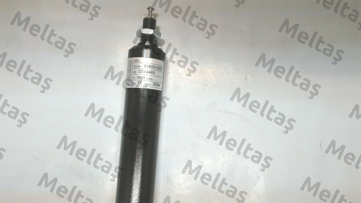 01800122G 400N Suspa
