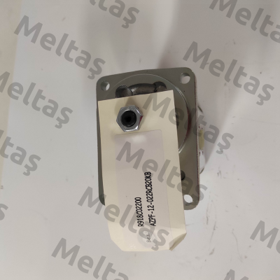 R918C02200 / AZPF-12-022RCB20KB Rexroth