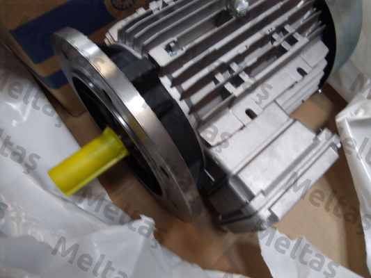T1083B1100 Bronzoni