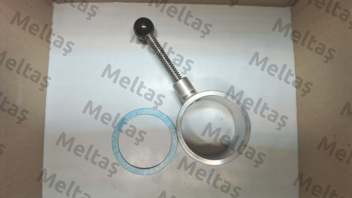 2382 Trimod Besta