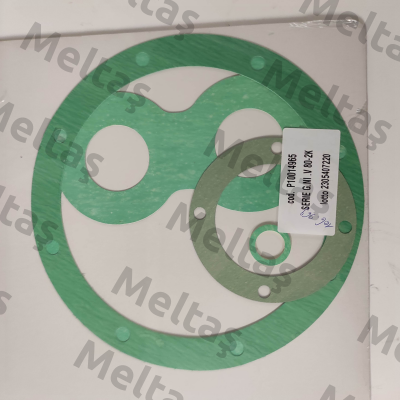 Set of gaskets  4810014965 Varisco pumps