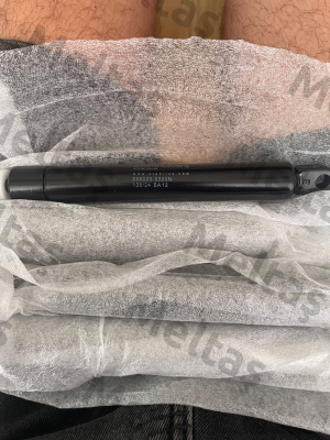 299030 / 300N Stabilus
