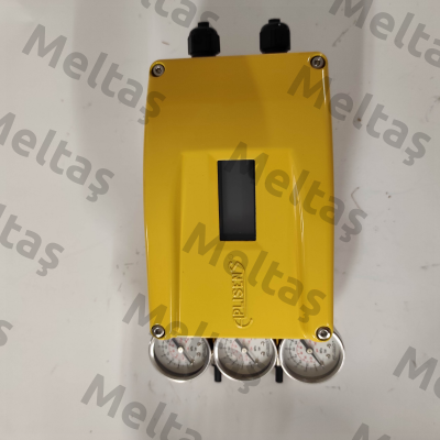 APIS-/2X/0/D00/RSt/T20/P3/M2/W1/A0 Aplisens