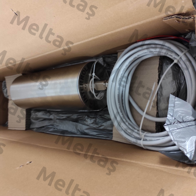DM1133-AAC13B0E8JDJ-307mm Interroll