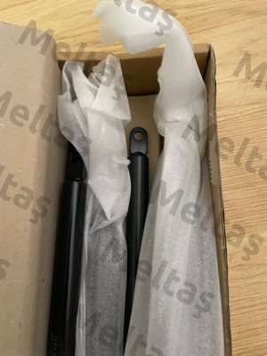 084573 0100N Stabilus