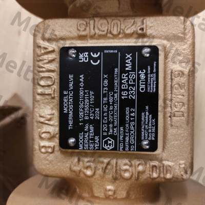 1 1/2EFSC11001-0-AA Amot