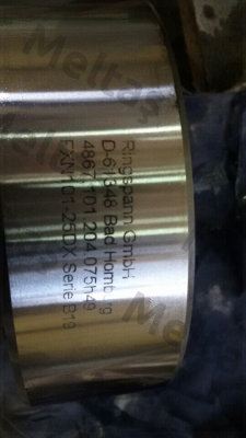 FXN101-25DX (4867-101204-075H49) Ringspann