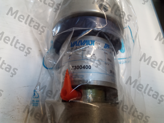 Z300400 Valvaut