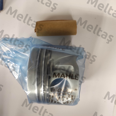 029 82 00 MAHLE