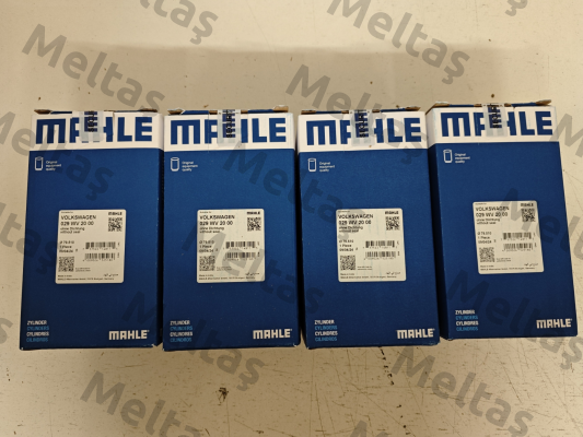 029 WV 20 00 MAHLE